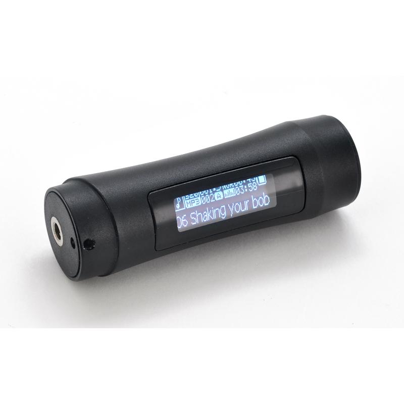 MP3 Player subacvatic, 8 Gb si radio FM