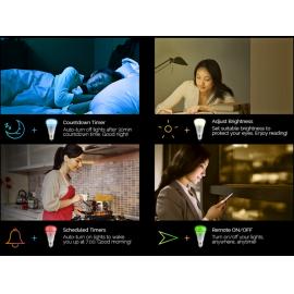 Bec E27 multicolor Wifi