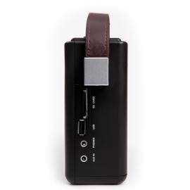 Boxa portabila Bluetooth Radio Vintage