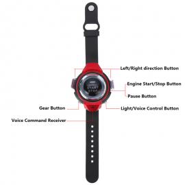 Masinuta cu telecomanda prin Voce