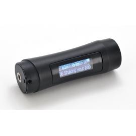 MP3 Player subacvatic, 8 Gb si radio FM